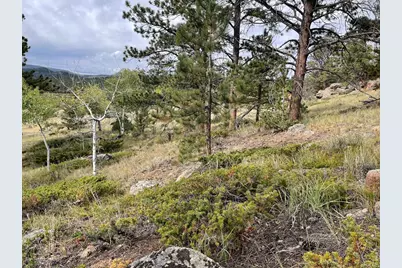 123 Tahlequah Way, Red Feather Lakes, CO 80545 - Photo 25