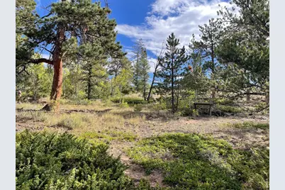123 Tahlequah Way, Red Feather Lakes, CO 80545 - Photo 13