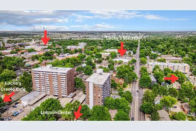 421 S Howes St #505, Fort Collins, CO 80521 - Photo 43