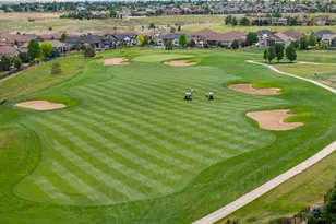6238 Vernazza Way, Windsor, CO 80550 - Photo 37