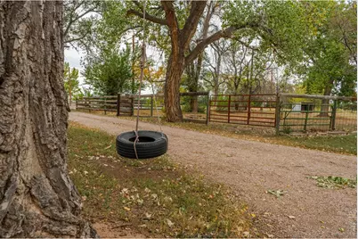 11432 N County Road 15, Fort Collins, CO 80524 - Photo 47