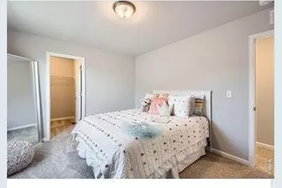 2575 Violet Cress Ln, Fort Collins, CO 80524 - Photo 13