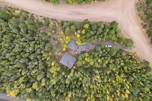 11436 Nancy's Dr, Conifer, CO 80433 - Photo 45