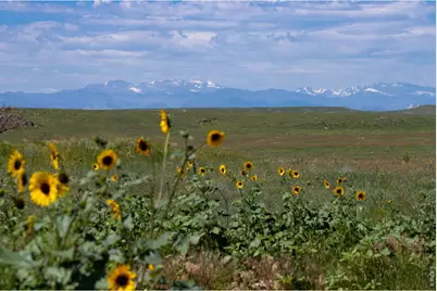 6 Tbd County Road 122, Carr, CO 80612 - Photo 7