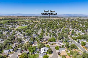619 Blue Mountain Ct, Windsor, CO 80550 - Photo 45