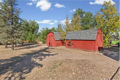 6655 Rodney St, Windsor, CO 80550 - Photo 37