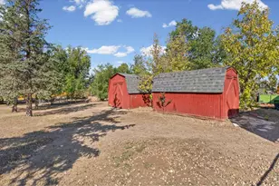 6655 Rodney St, Windsor, CO 80550 - Photo 37