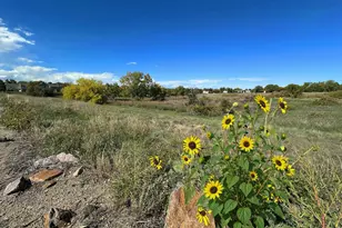 15648 E Mexico Ave, Aurora, CO 80017 - Photo 25