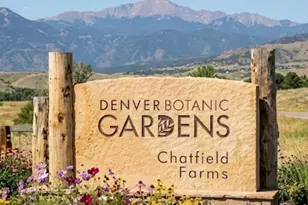 9896 W Freiburg Dr, Littleton, CO 80127 - Photo 15