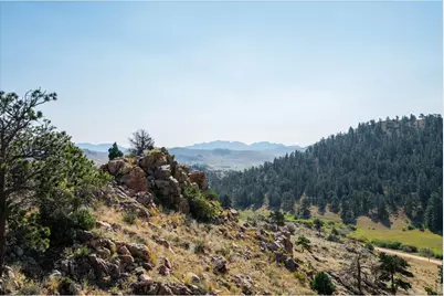 23 E Quandary Ct, Livermore, CO 80536 - Photo 37