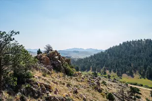 23 E Quandary Ct, Livermore, CO 80536 - Photo 37