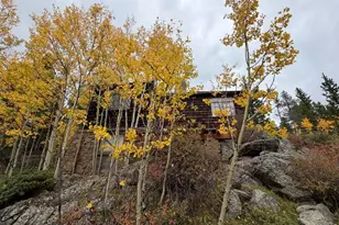 1351 Lump Gulch Rd, Black Hawk, CO 80422 - Photo 43