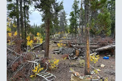 1351 Lump Gulch Rd, Black Hawk, CO 80422 - Photo 13