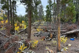 1351 Lump Gulch Rd, Black Hawk, CO 80422 - Photo 13