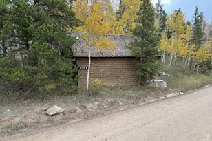 1351 Lump Gulch Rd, Black Hawk, CO 80422 - Photo 3