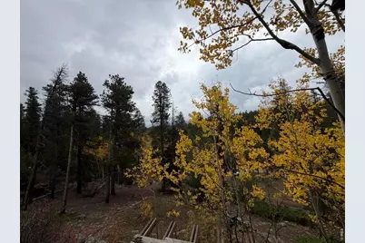 1351 Lump Gulch Rd, Black Hawk, CO 80422 - Photo 41