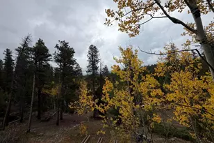 1351 Lump Gulch Rd, Black Hawk, CO 80422 - Photo 41