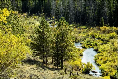 802 Marmot Dr, Red Feather Lakes, CO 80545 - Photo 27