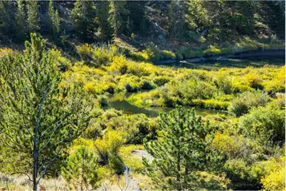802 Marmot Dr, Red Feather Lakes, CO 80545 - Photo 13