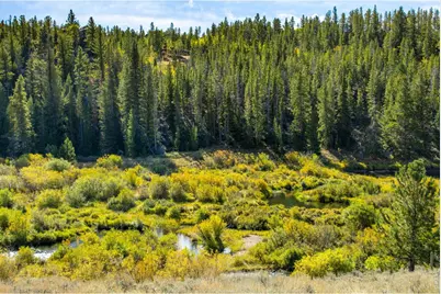 802 Marmot Dr, Red Feather Lakes, CO 80545 - Photo 15