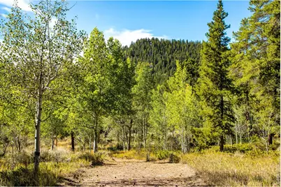 802 Marmot Dr, Red Feather Lakes, CO 80545 - Photo 49