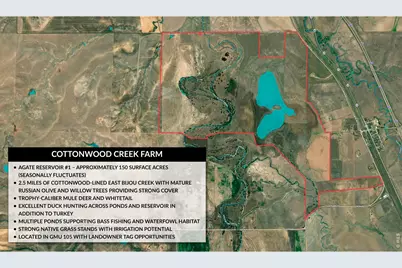 38250 County Road 170, Agate, CO 80101 - Photo 39