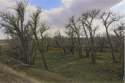 38250 County Road 170, Agate, CO 80101 - Photo 31