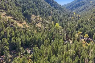 204 Waltonia Rd, Drake, CO 80515 - Photo 41