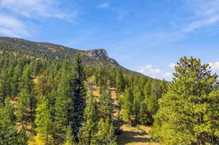 1530 Fish Hatchery Rd, Estes Park, CO 80517 - Photo 39