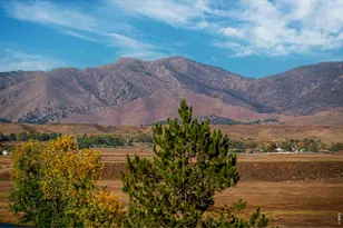 7483 Deerfield Rd, Longmont, CO 80503 - Photo 47