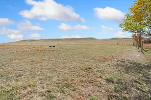 70521 CR 138, Carr, CO 80612 - Photo 29