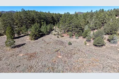 1563 19th Trl, Cotopaxi, CO 81223 - Photo 15