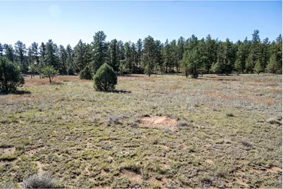 1563 19th Trl, Cotopaxi, CO 81223 - Photo 9