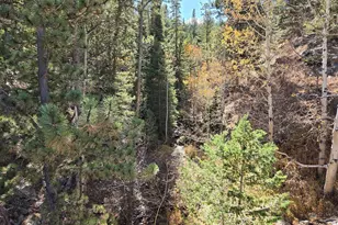 12190 Hwy 7, Allenspark, CO 80510 - Photo 1