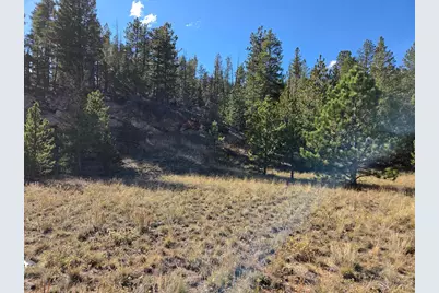 12190 Highway 7, Allenspark, CO 80510 - Photo 5