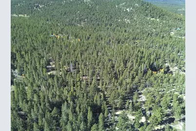12190 Highway 7, Allenspark, CO 80510 - Photo 9