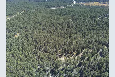 12680 Highway 7, Allenspark, CO 80510 - Photo 7