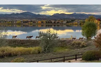 113 Scenic Ct, Loveland, CO 80537 - Photo 31