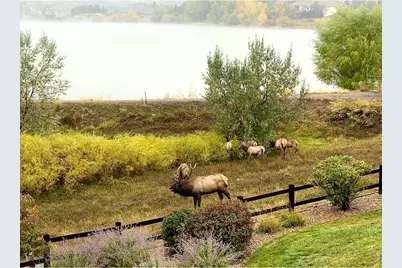 113 Scenic Ct, Loveland, CO 80537 - Photo 29