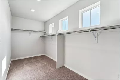 814 Kettlepond Way, Windsor, CO 80550 - Photo 21