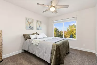 174 Halibut Dr, Windsor, CO 80550 - Photo 25