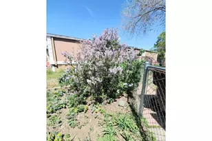 420 E 57th St, Loveland, CO 80538 - Photo 3