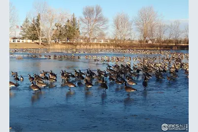 3420 Black Hls #398, Longmont, CO 80504 - Photo 33