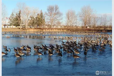 11481 Hot Spgs #78, Longmont, CO 80504 - Photo 43