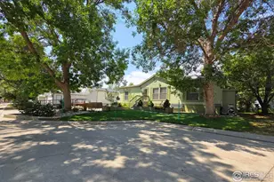 11481 Hot Springs, Longmont, CO 80504 - Photo 5