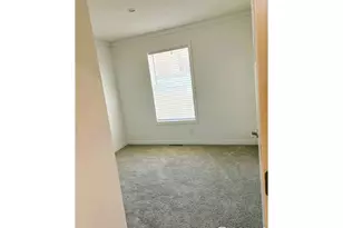 4801 W County Rd 38 E, Fort Collins, CO 80526 - Photo 11