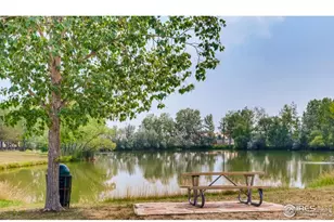 11154 Bluff Lodge, Longmont, CO 80504 - Photo 37