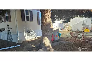 230 N 2nd St, Berthoud, CO 80513 - Photo 15