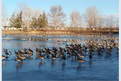 3453 Bright Angel #27, Longmont, CO 80504 - Photo 33