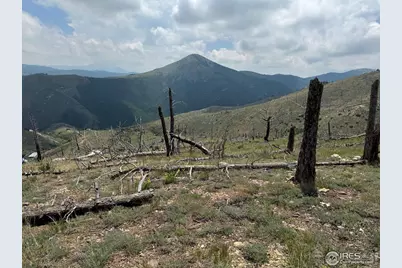 280 Rim Rd, Boulder, CO 80302 - Photo 15